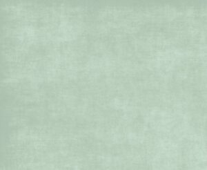 application enduit chaux coloré vert alsace
